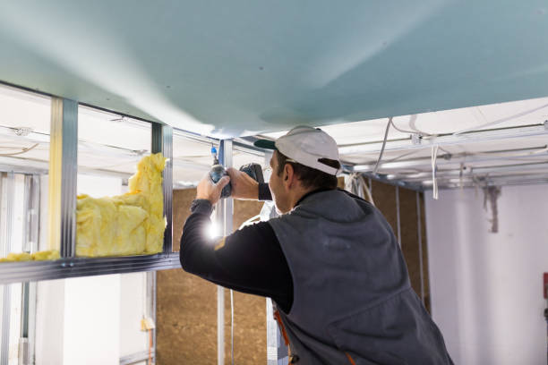 Best Insulation Air Sealing  in Bellefontaine, OH