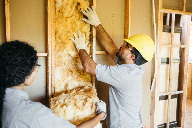 Best Basement Insulation  in Bellefontaine, OH