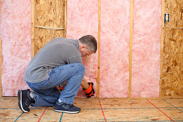 Best Batt and Roll Insulation  in Bellefontaine, OH